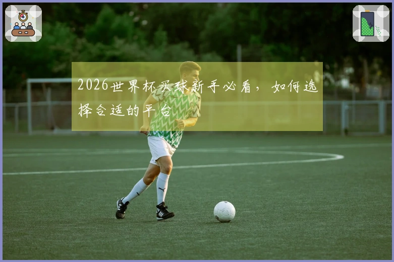 2026世界杯买球新手必看，如何选择合适的平台