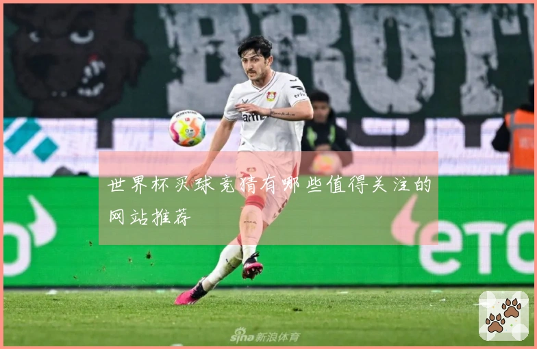 世界杯买球竞猜有哪些值得关注的网站推荐