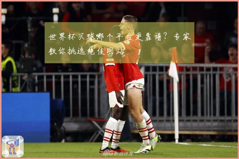 世界杯买球哪个平台更靠谱？专家教你挑选绝佳网站
