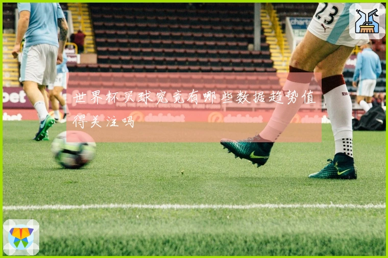 世界杯买球究竟有哪些数据趋势值得关注吗