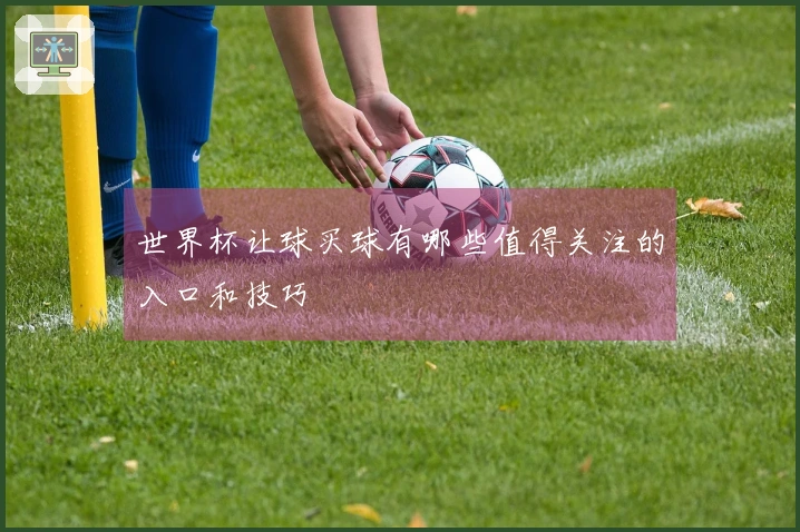世界杯让球买球有哪些值得关注的入口和技巧