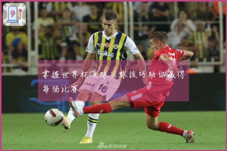掌握世界杯滚球买球技巧助你赢得每场比赛
