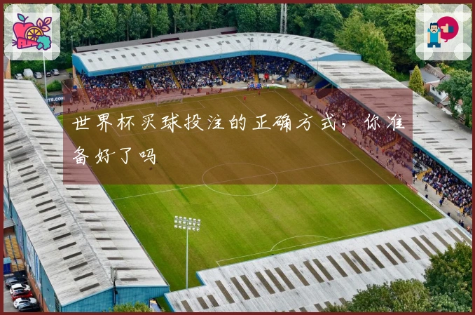 世界杯买球投注的正确方式，你准备好了吗