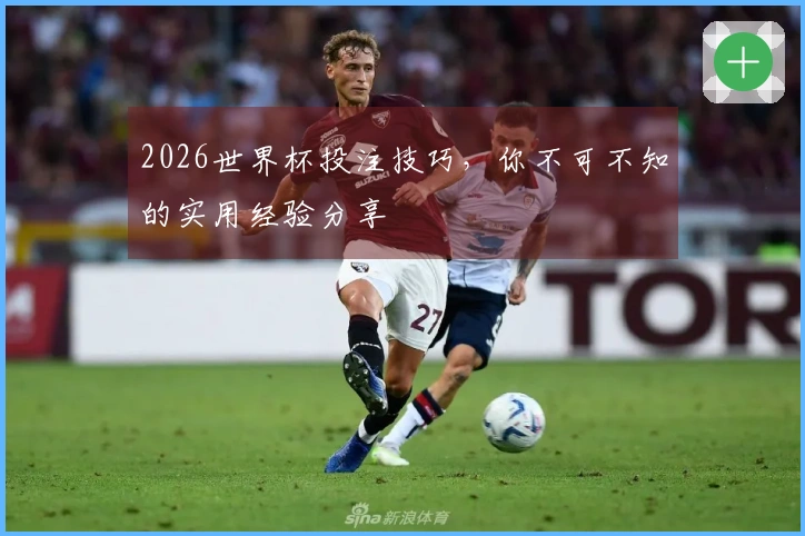 2026世界杯投注技巧，你不可不知的实用经验分享