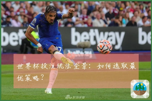 世界杯投注玩法全景:如何选取最优策略?