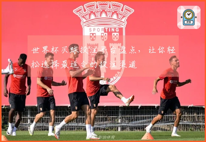 世界杯买球投注平台盘点，让你轻松选择最适合的投注渠道