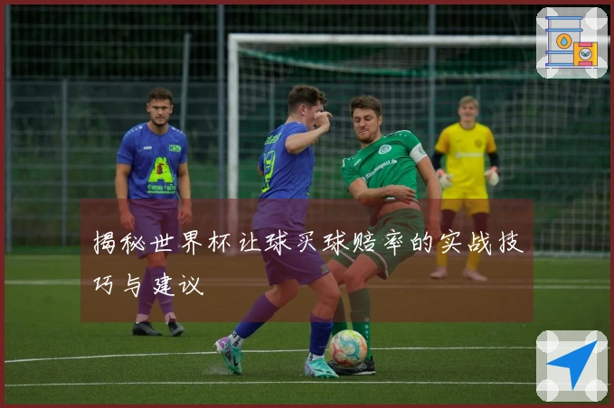 揭秘世界杯让球买球赔率的实战技巧与建议