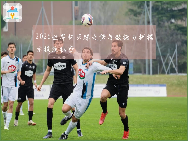 2026世界杯买球走势与数据分析揭示投注秘密