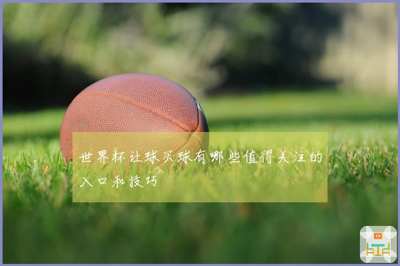 世界杯让球买球有哪些值得关注的入口和技巧